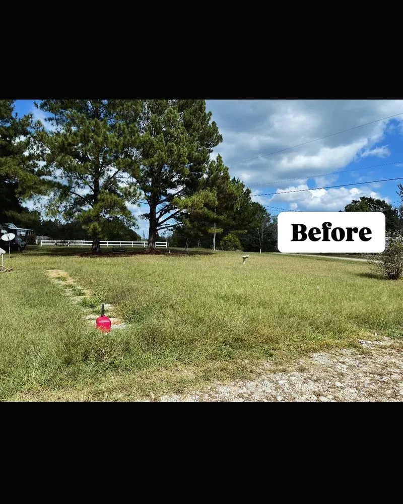 Top-rated yard cleanup service in Fountain Inn, SC by Walkers Greentop Lawncare