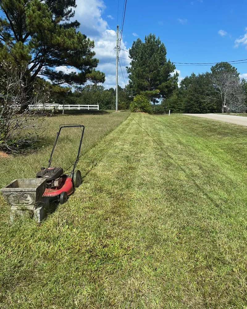 Expert yard cleanup service with custom design in Fountain Inn, SC by Walkers Greentop Lawncare