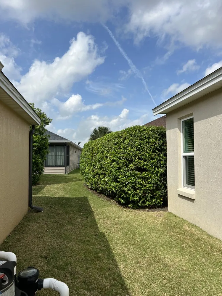 Top-rated landscape installation in The Villages, FL - Walker’s Hedge Trimming