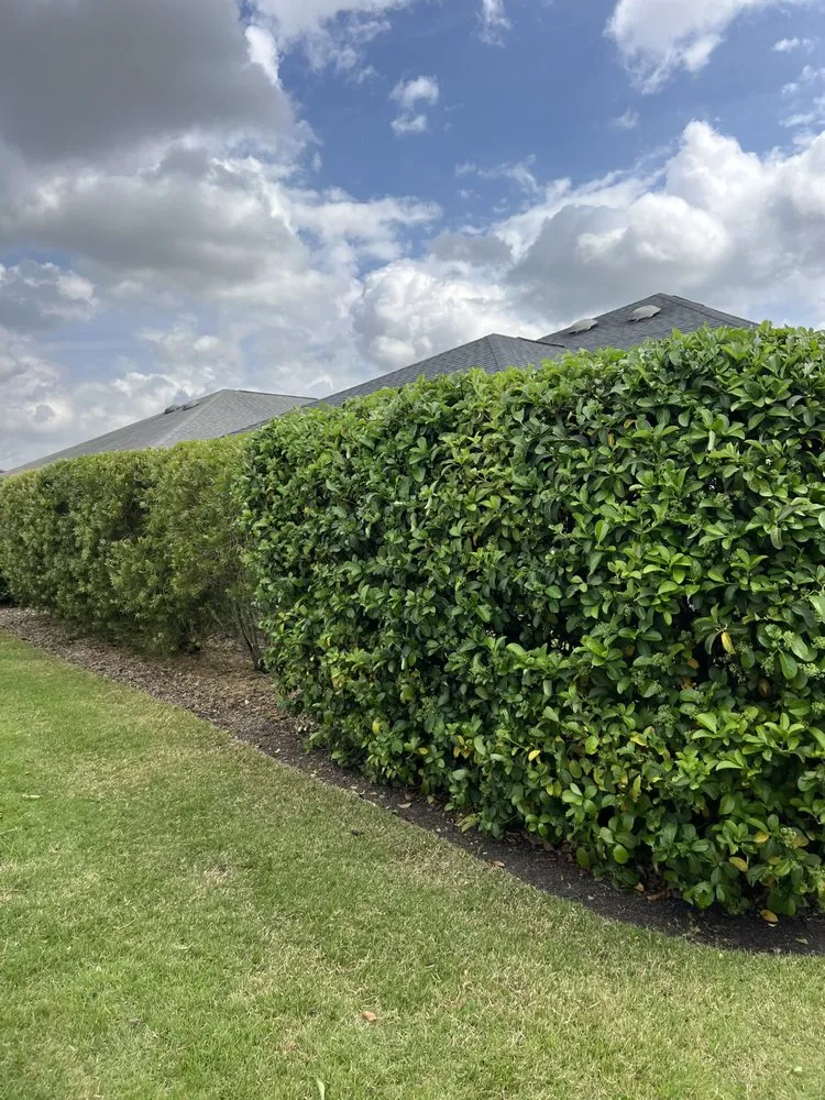 Expert landscape design for beautiful yards in The Villages, FL by Walker’s Hedge Trimming