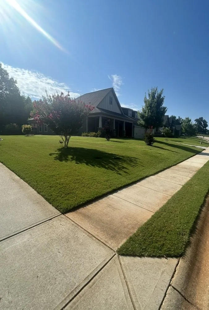Local landscaping services for year-round maintenance in Greer, SC by Walker's Land Maintenance