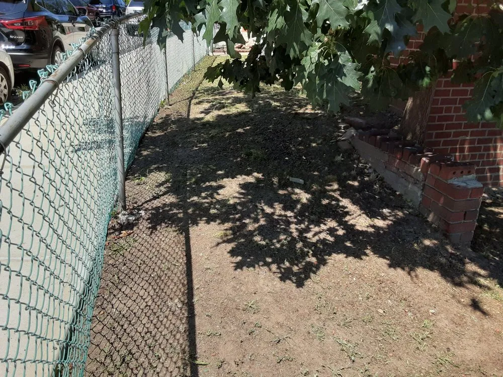 Affordable yard maintenance for year-round maintenance in Bronx, NY by Walkers Landscaping and Lawn Care