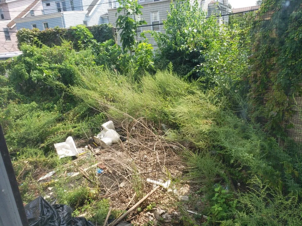 Expert lawn care service for homes in Bronx, NY by Walkers Landscaping and Lawn Care