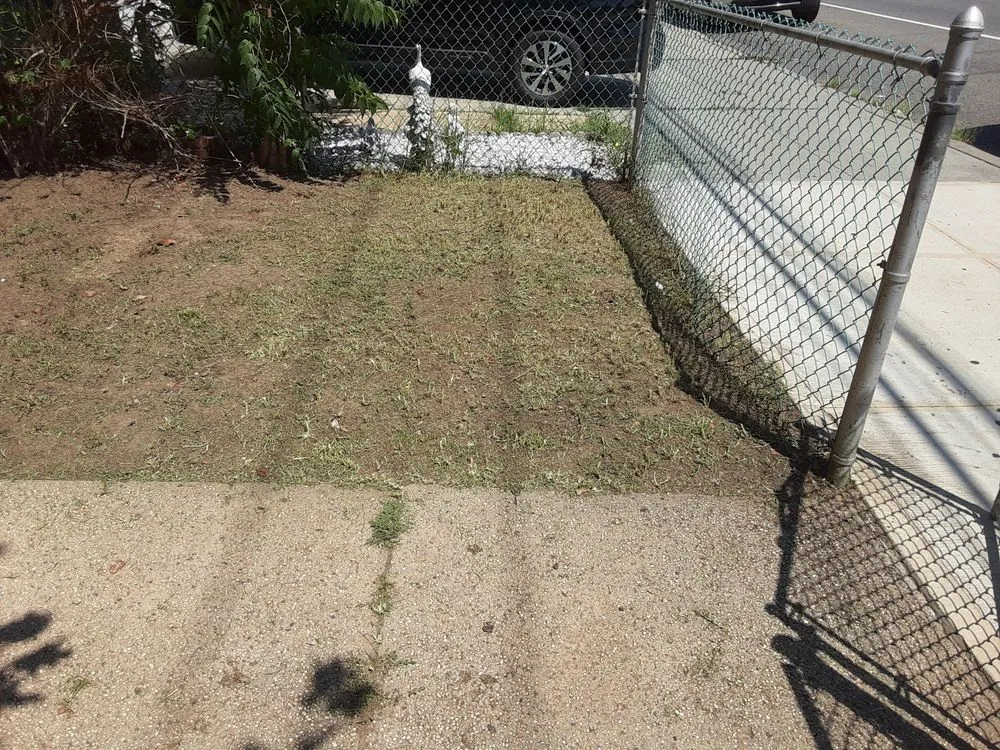 Expert yard cleanup service experts serving Bronx, NY - Walkers Landscaping and Lawn Care