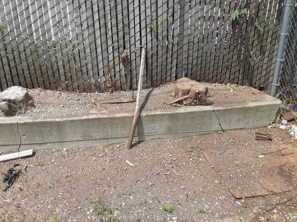 Expert lawn mowing service in Bronx, NY by Walkers Landscaping and Lawn Care