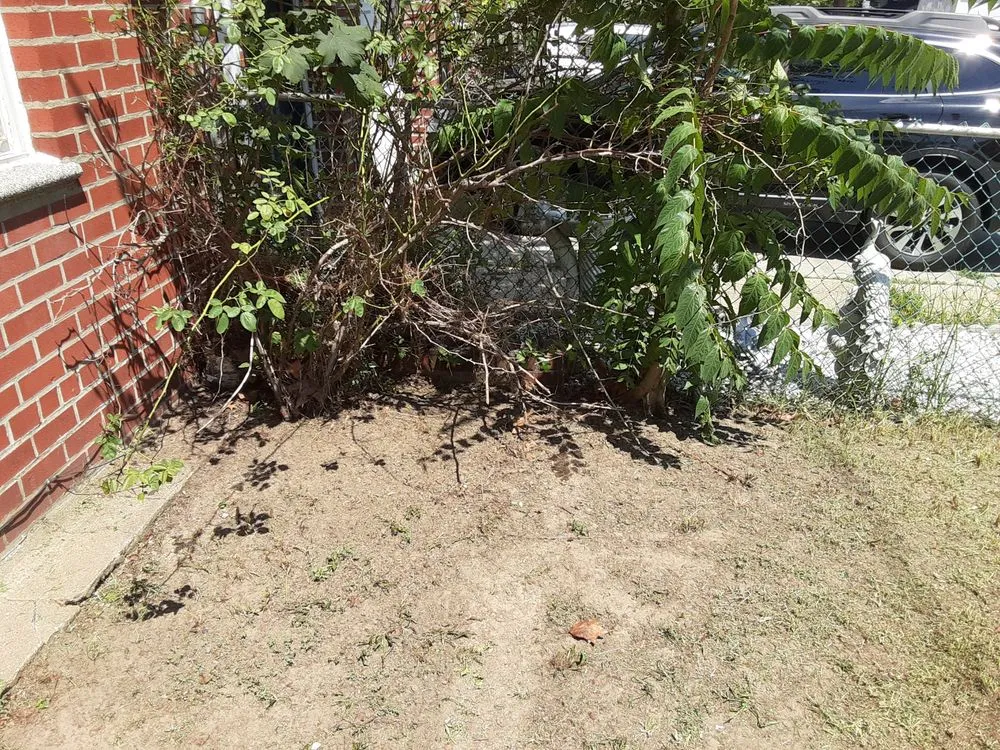 Custom residential landscaping experts serving Bronx, NY - Walkers Landscaping and Lawn Care