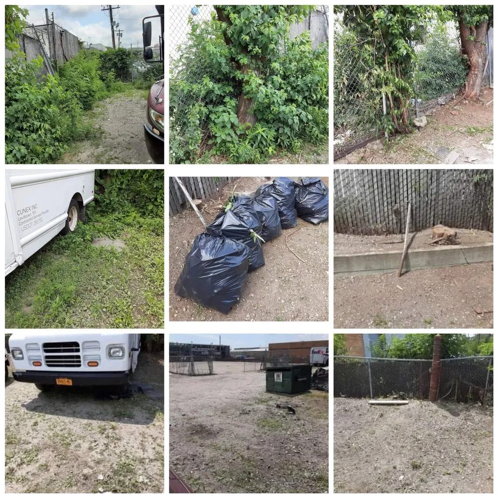 Expert landscape installation in Bronx, NY - Walkers Landscaping and Lawn Care