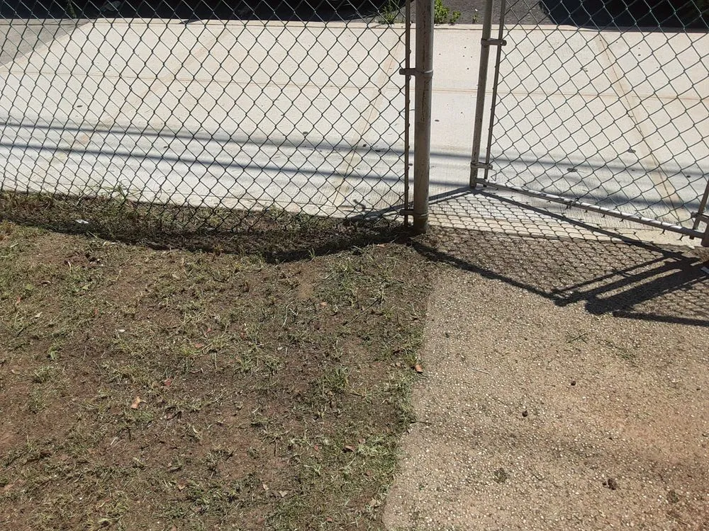 Affordable yard maintenance in Bronx, NY - Walkers Landscaping and Lawn Care