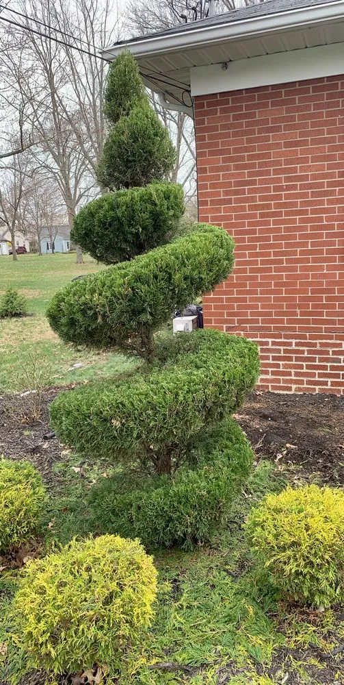 Expert lawn mowing service experts serving Oberlin, OH - Walkers Landscaping