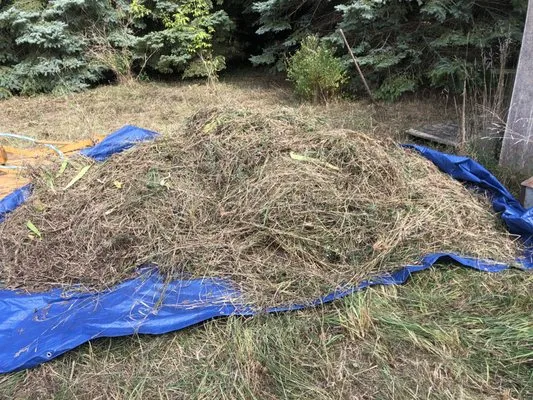 Walkers Landscaping Logo