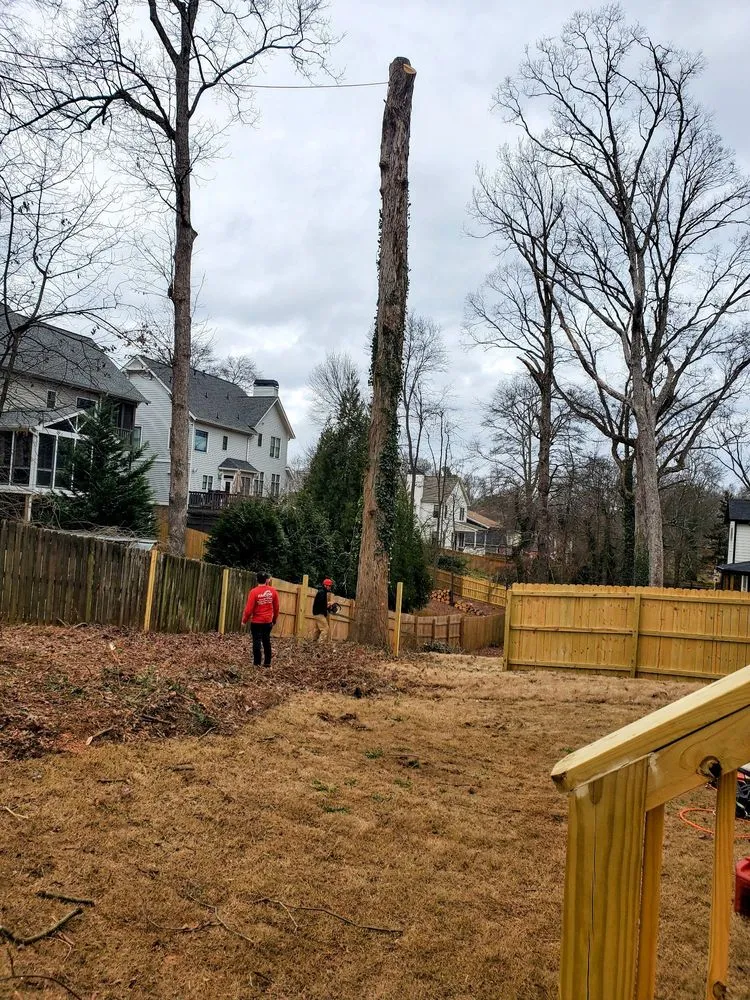 Expert lawn care service for residential properties in Norcross, GA by Walker's Landscaping Tree Service