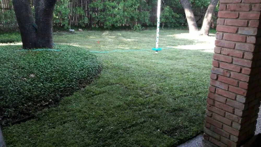 Professional lawn care service for residential properties in Duncanville, TX by Walker's Lawn & Gardens