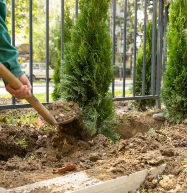 Expert outdoor landscaping for year-round maintenance in Damascus, MD by Walker's Lawn & Landscaping