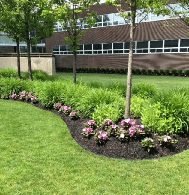 Custom lawn mowing service for beautiful yards in Damascus, MD by Walker's Lawn & Landscaping