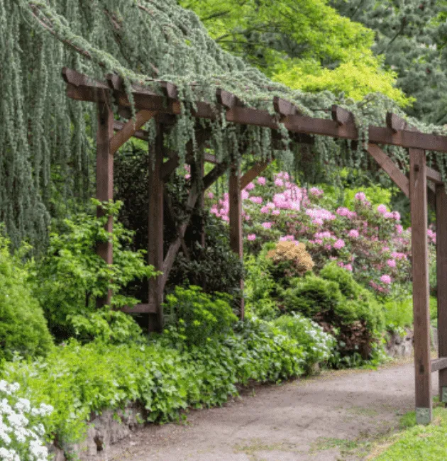 Reliable landscaping services experts serving Damascus, MD - Walker's Lawn & Landscaping