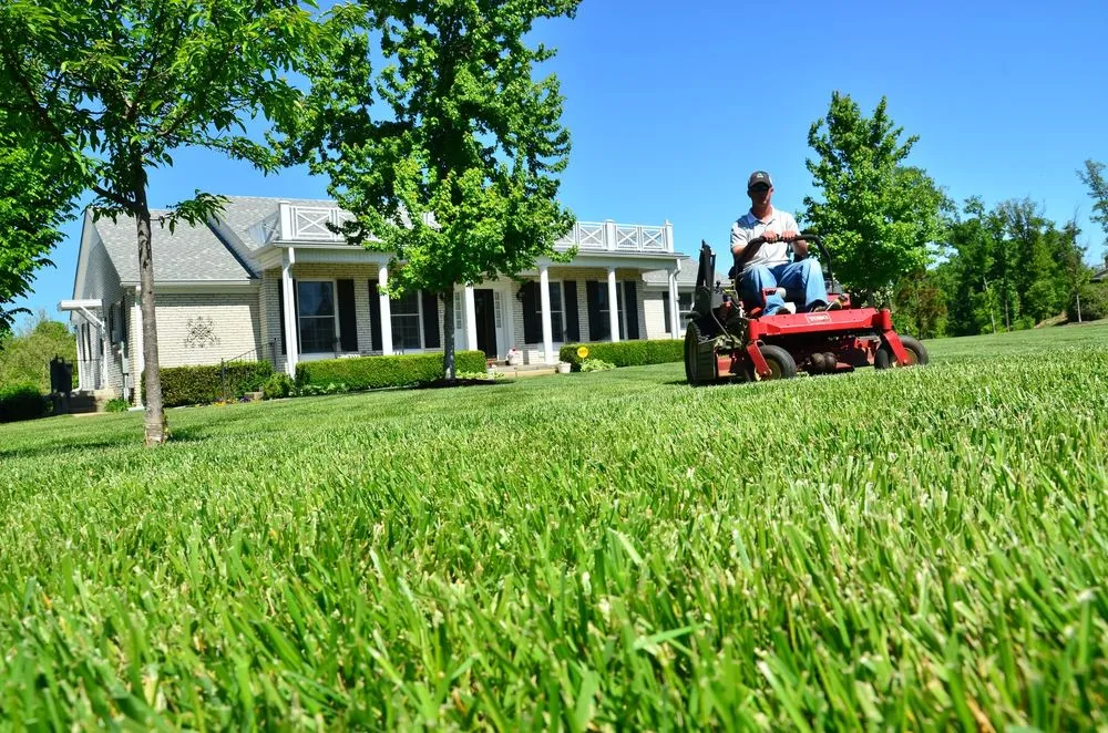 Top-rated outdoor landscaping near you across Monroe, LA - Walkers Lawn and Cleaning Care Service