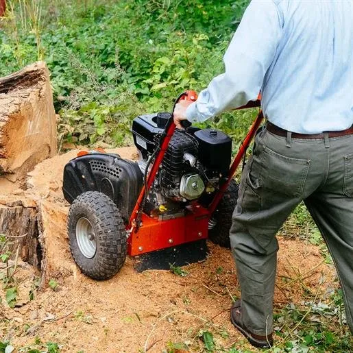 Reliable lawn mowing service for beautiful yards across Hayward, NC - Walker's Lawn and Tree Services