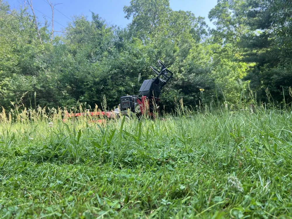 Professional lawn care service for residential properties across Crossville, TN - Walkers Lawn Care