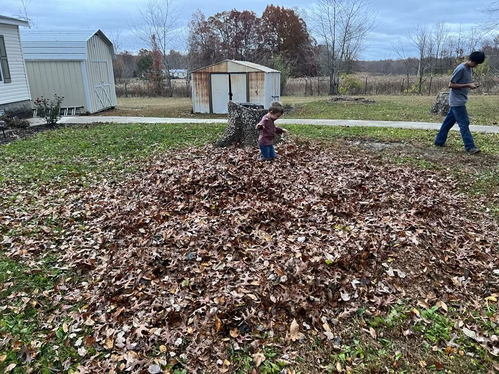 Top-rated yard cleanup service experts serving Crossville, TN - Walkers Lawn Care