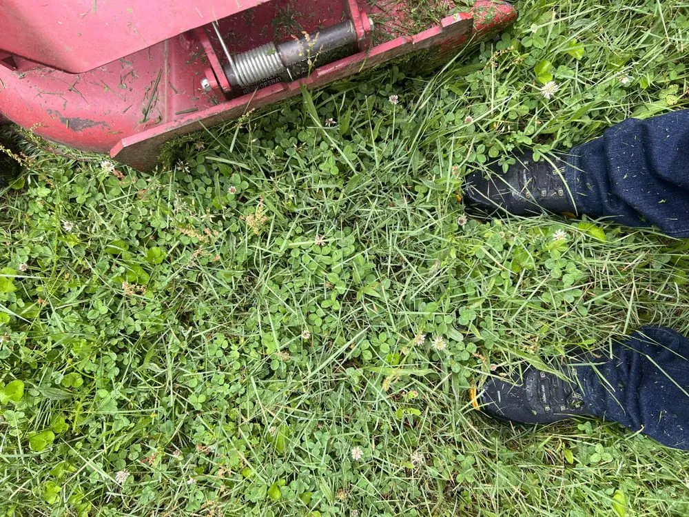 Local lawn care service for year-round maintenance in Crossville, TN by Walkers Lawn Care