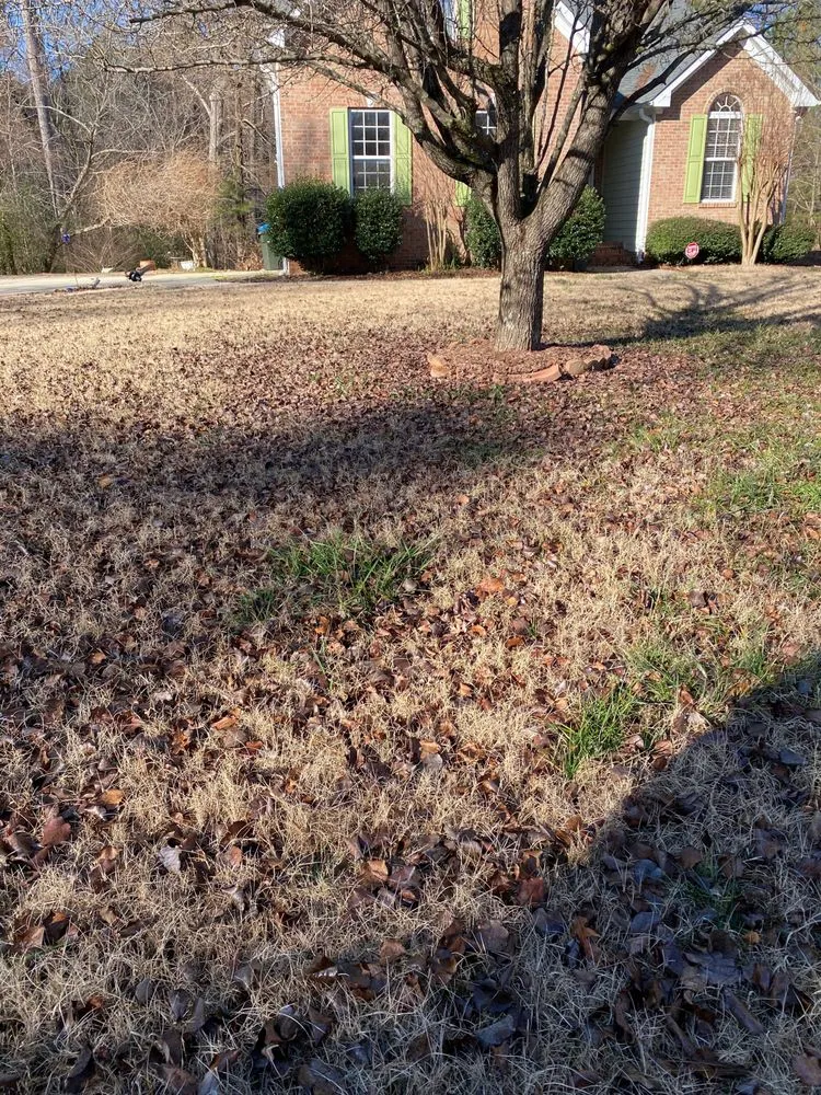 Expert yard cleanup service in Siler City, NC by Walkers Lawn Service
