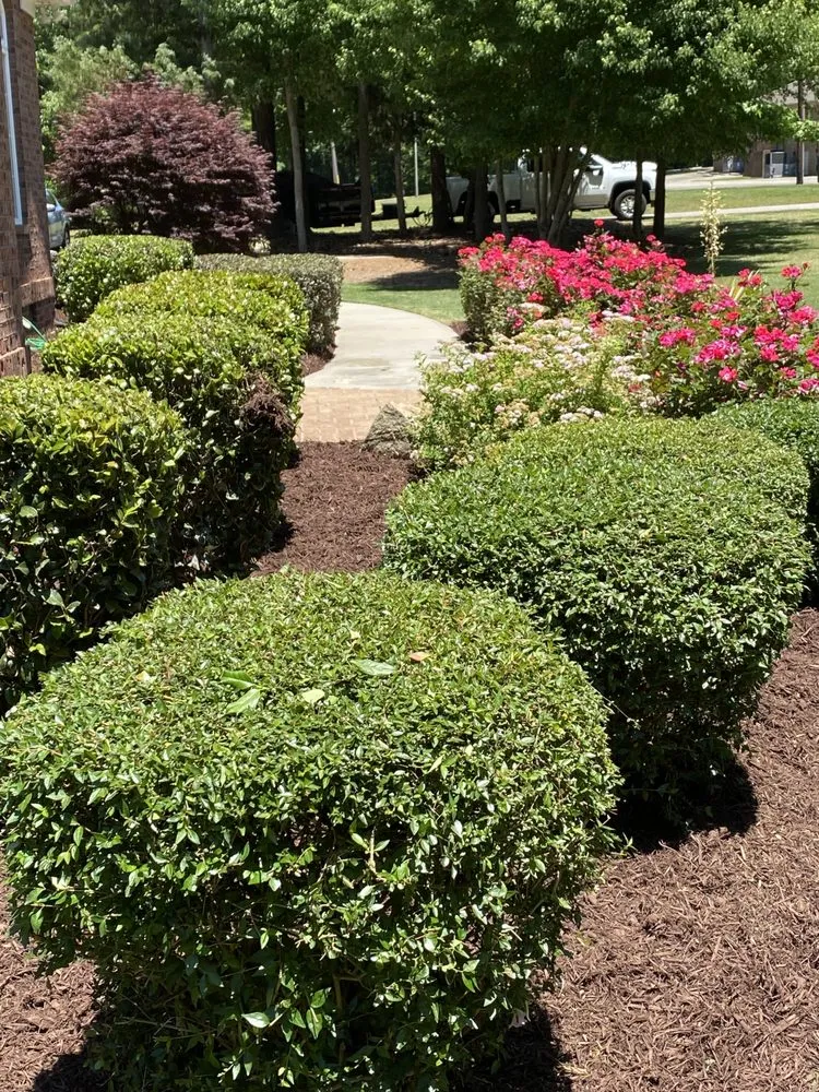 Top-rated outdoor landscaping in Lancaster, SC - Walkers Lawncare