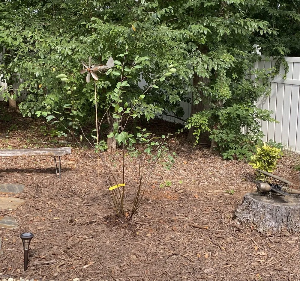 Local yard maintenance in Lancaster, SC - Walkers Lawncare