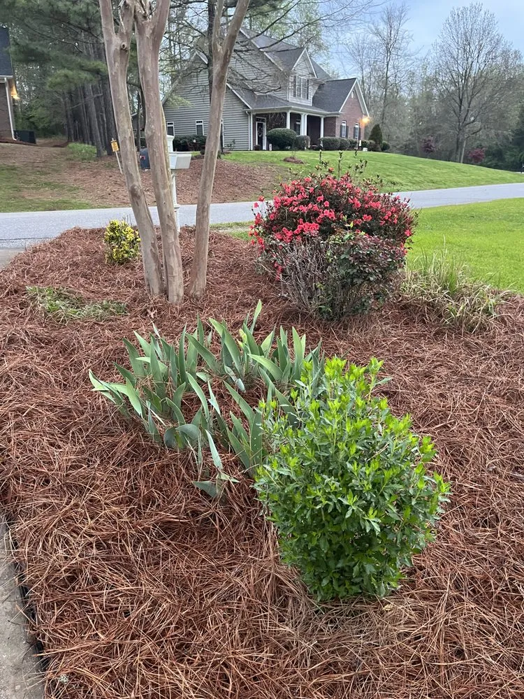 Trusted landscape installation in Lancaster, SC - Walkers Lawncare