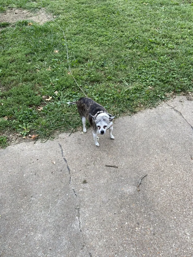 Expert garden landscaping in Eldon, MO - Walkers Outdoor Service