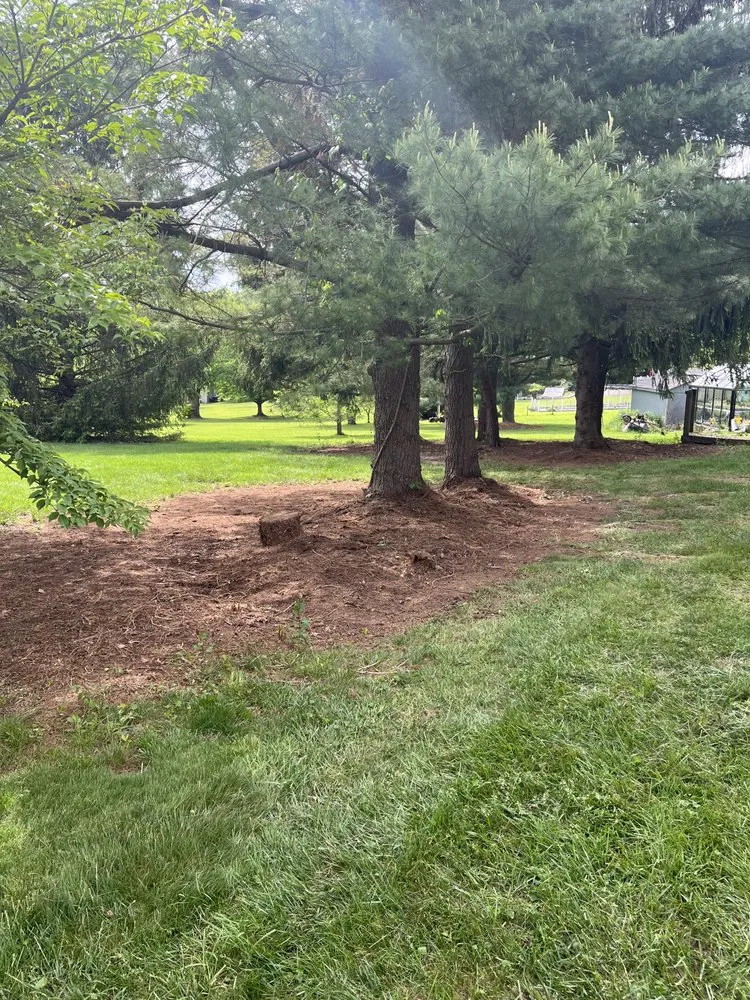 Local outdoor landscaping for homes in Stewartstown, PA by Walkers Services