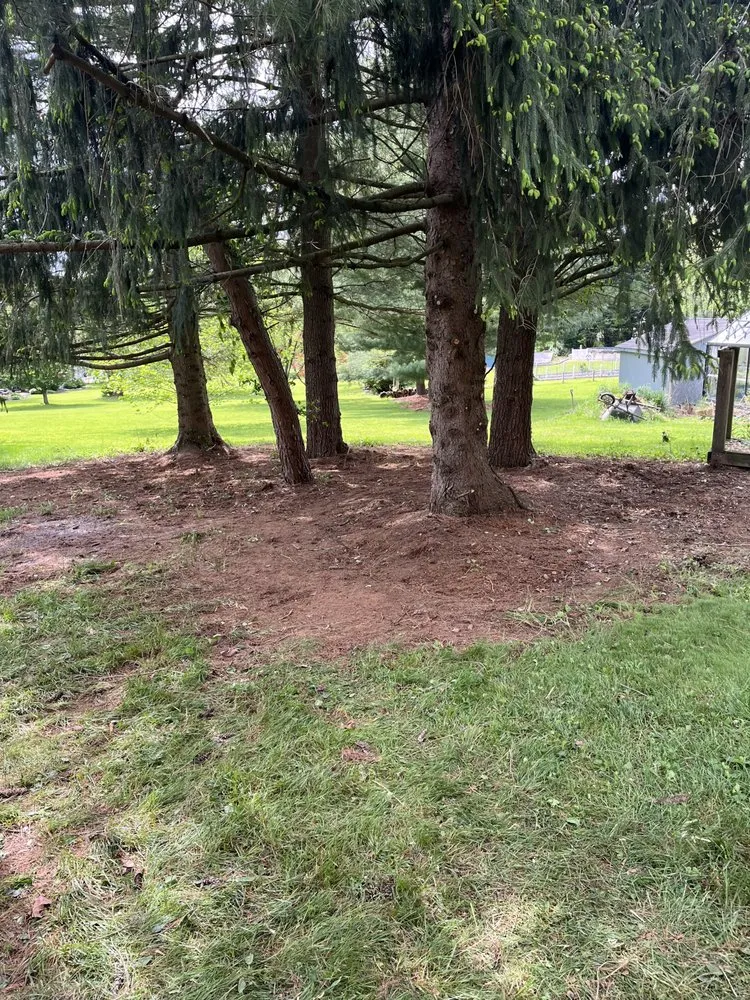 Trusted garden landscaping for year-round maintenance in Stewartstown, PA by Walkers Services