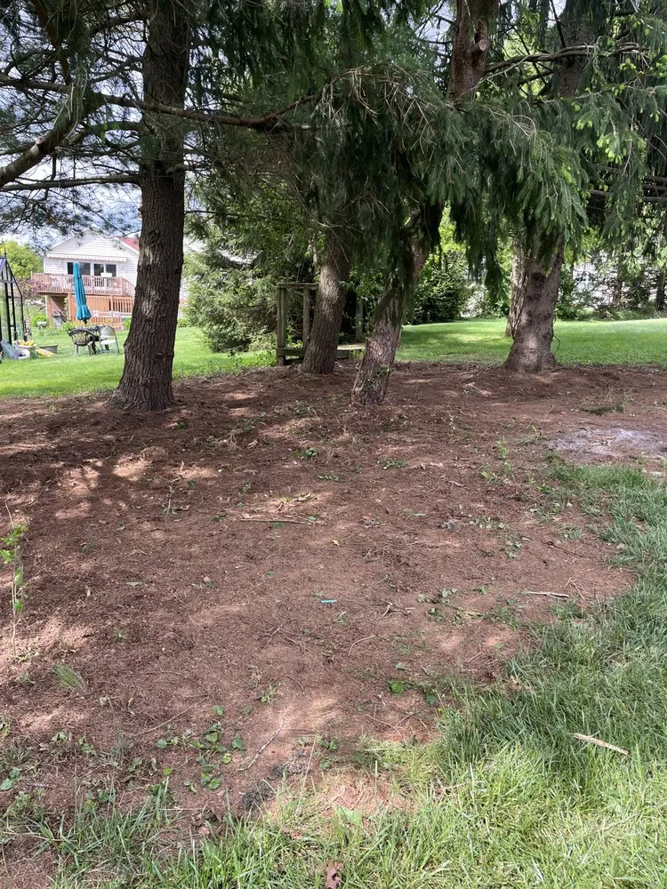 Professional outdoor landscaping experts serving Stewartstown, PA - Walkers Services