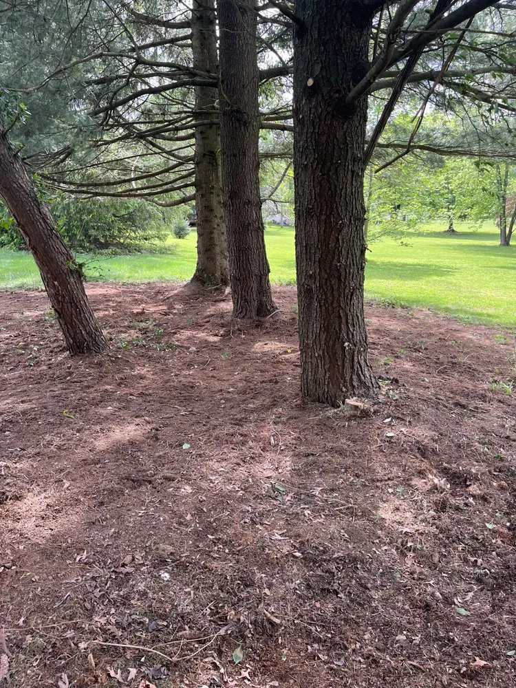 Expert outdoor landscaping for beautiful yards across Stewartstown, PA - Walkers Services