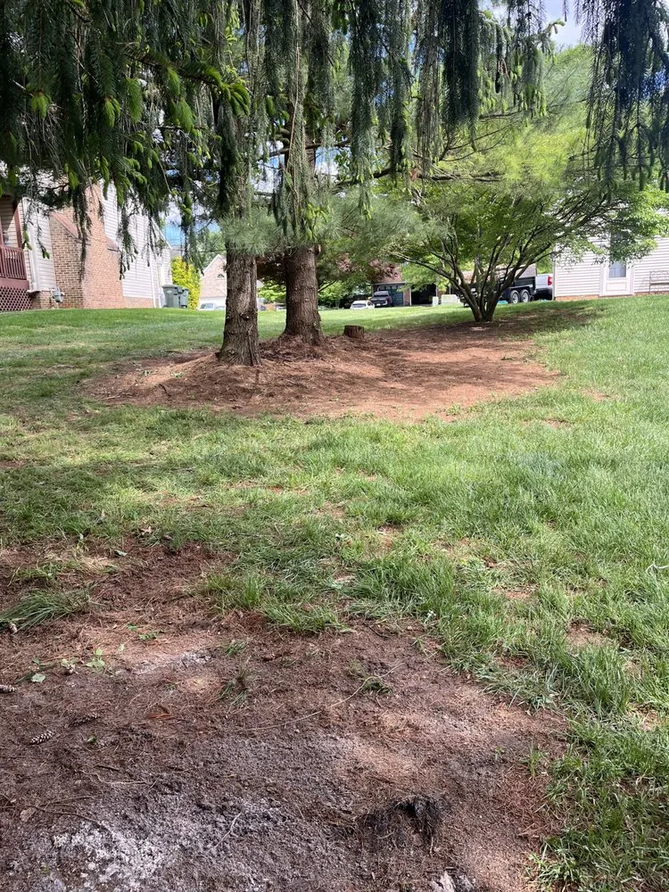 Top-rated landscape design for outdoor upgrades in Stewartstown, PA by Walkers Services