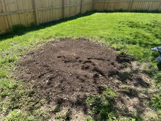 Walkers Services Logo