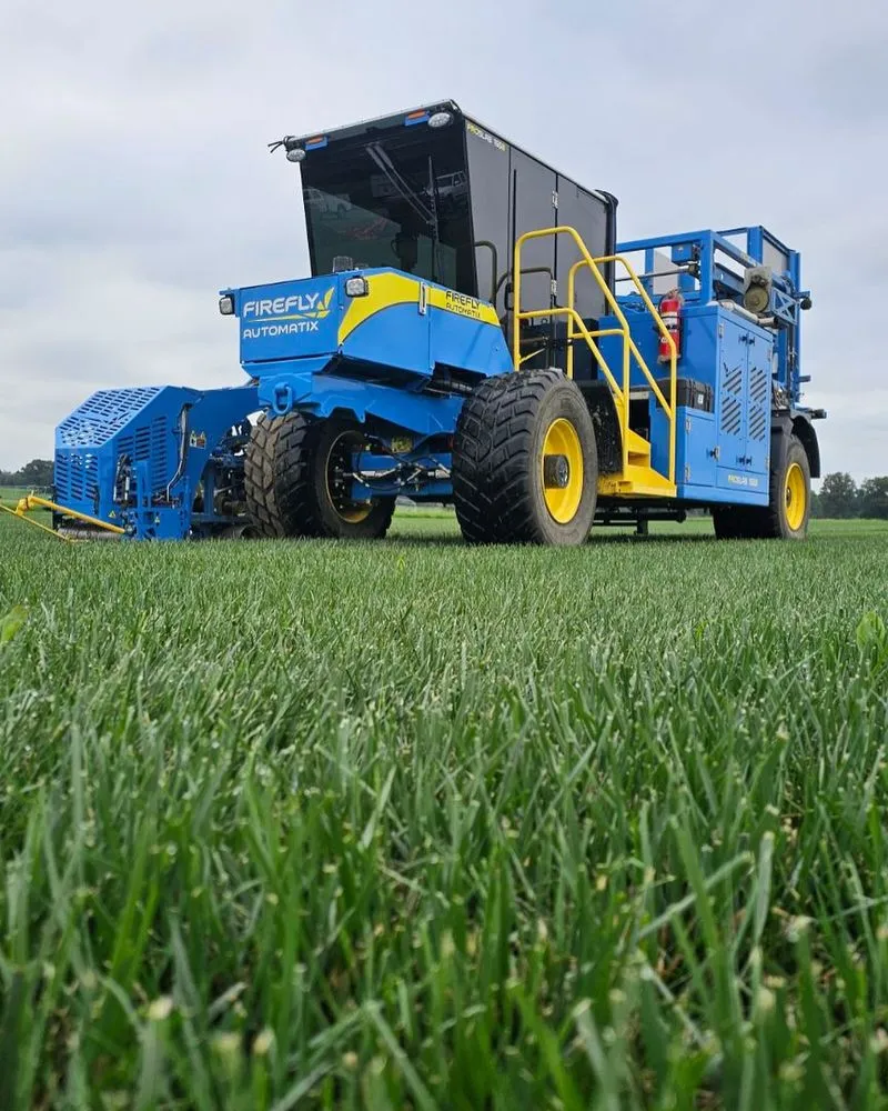 Top-rated outdoor landscaping in McMinnville, TN - Walker's Sod Farm