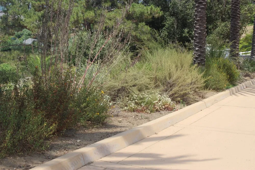 Trusted landscape installation in Fallbrook, CA by Walkers Wildlands