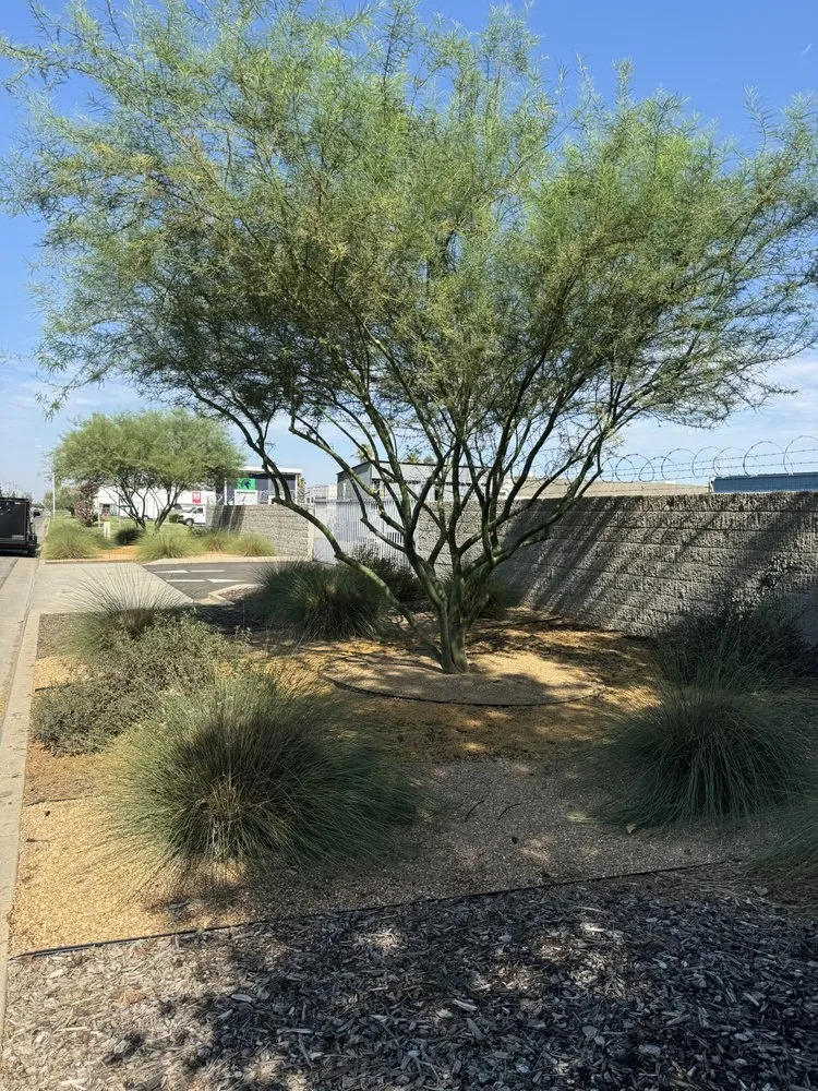 Top-rated yard maintenance in Fresno, CA - Walking and Working Landscape Maintenance