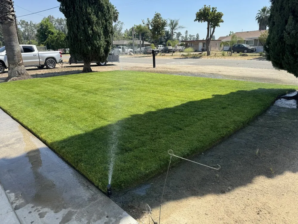 Custom yard maintenance in Fresno, CA by Walking and Working Landscape Maintenance