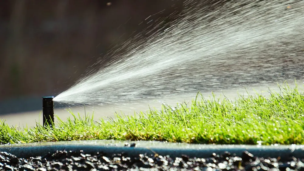 Professional yard maintenance near you in Spokane Valley, WA by Wall and Company