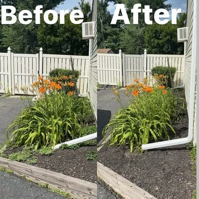 Wall Swat Lawn care Logo