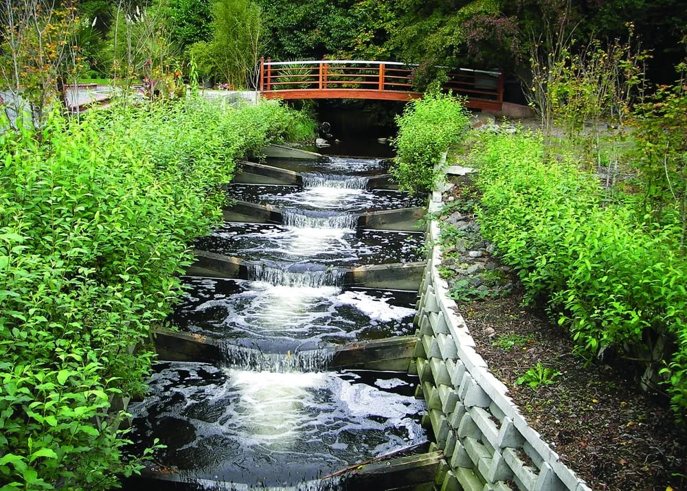 Top-rated lawn mowing service in Shoreline, WA - Wall Systems Northwest