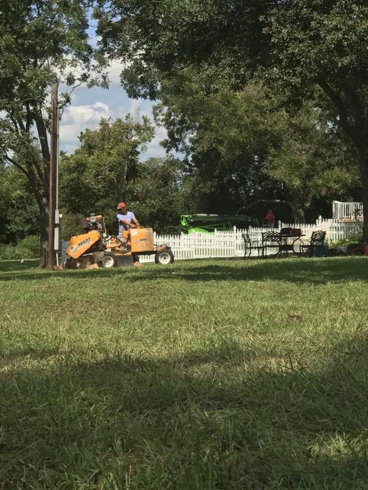 Reliable garden landscaping in Gause, TX - Wall Tree Service