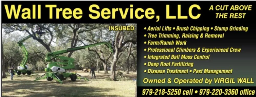 Local yard maintenance experts serving Gause, TX - Wall Tree Service