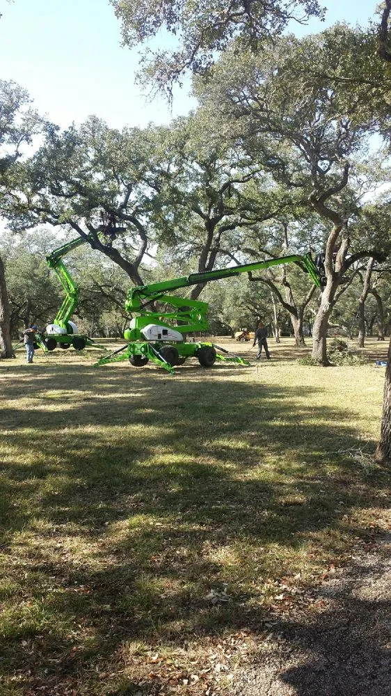 Expert garden landscaping in Gause, TX by Wall Tree Service