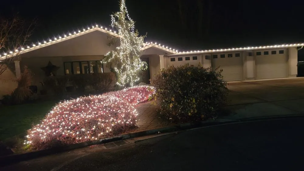 Professional landscape installation for year-round maintenance in Walla Walla, WA by Walla Walla Butler