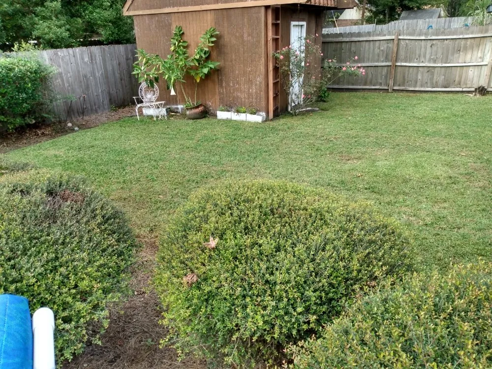 Top-rated lawn care service with custom design across Hinesville, GA - Wallace Commercial & Residential Landscaping .