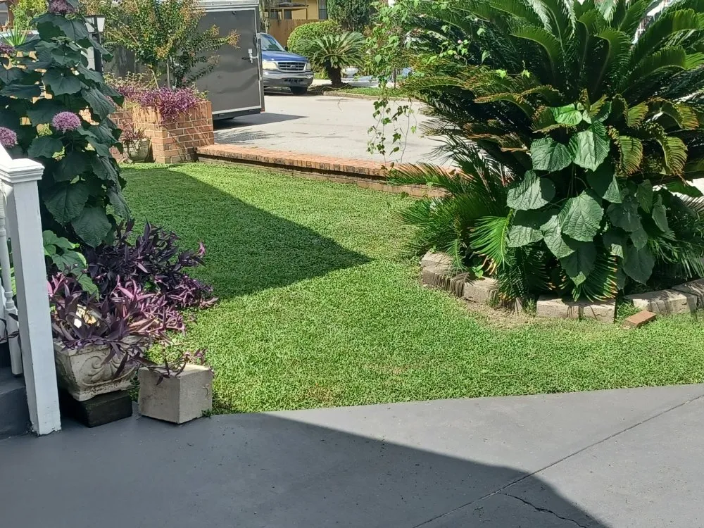 Affordable landscape installation for year-round maintenance across Hinesville, GA - Wallace Commercial & Residential Landscaping .