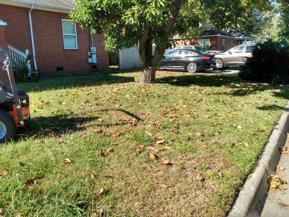 Professional garden landscaping for outdoor upgrades across Hinesville, GA - Wallace Commercial & Residential Landscaping .