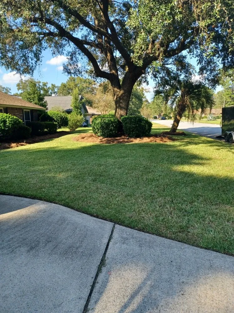 Reliable yard cleanup service in Hinesville, GA - Wallace Commercial & Residential Landscaping .